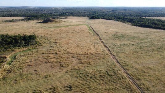 FAZENDA EM PALMEIRANTE-TO