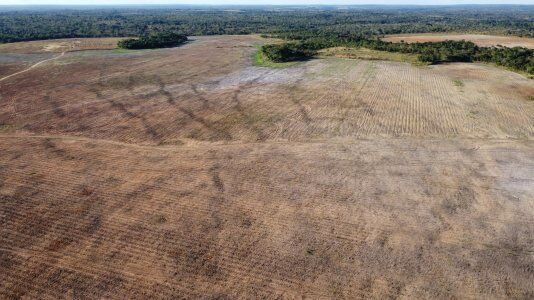 FAZENDA EM PALMEIRANTE-TO